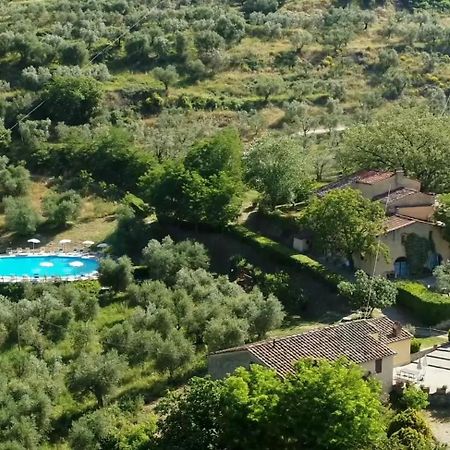 Agriturismo Il Giardino Pontassieve Luaran gambar