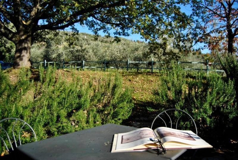 Agriturismo Il Giardino Pontassieve Luaran gambar