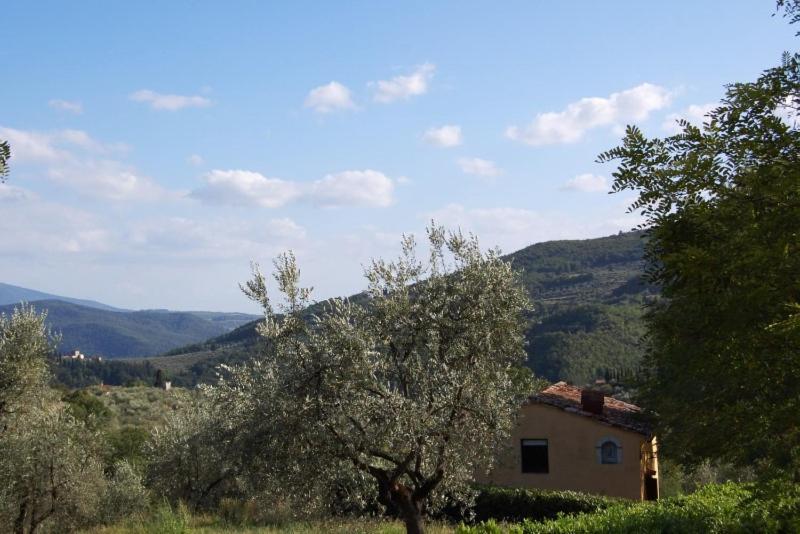 Agriturismo Il Giardino Pontassieve Luaran gambar