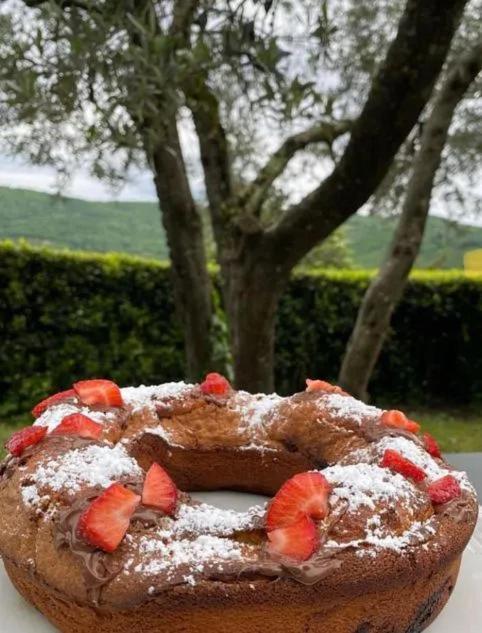 Agriturismo Il Giardino Pontassieve Luaran gambar