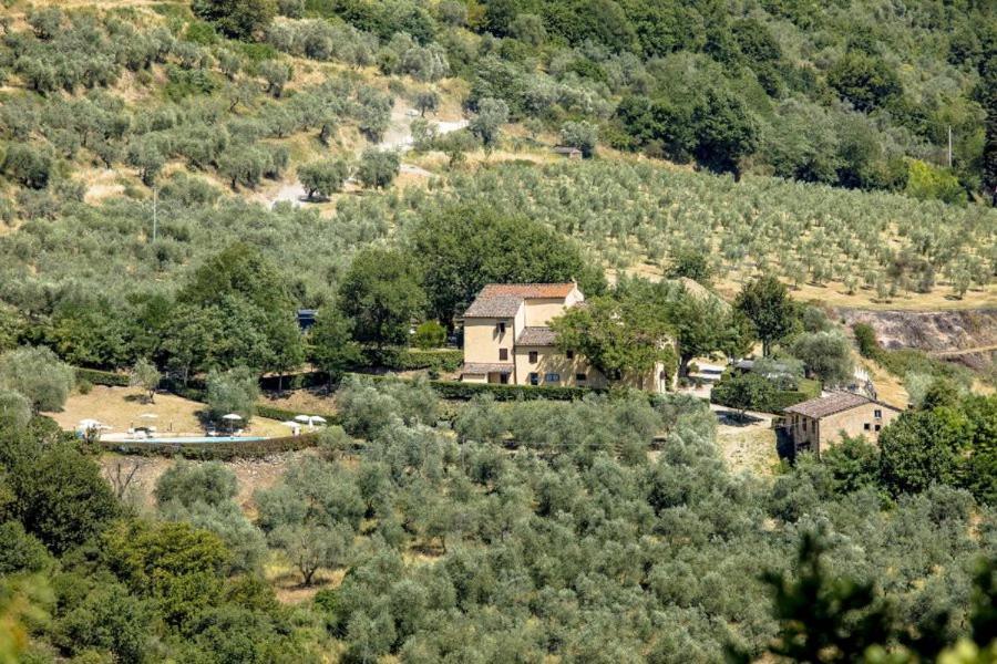 Agriturismo Il Giardino Pontassieve Luaran gambar