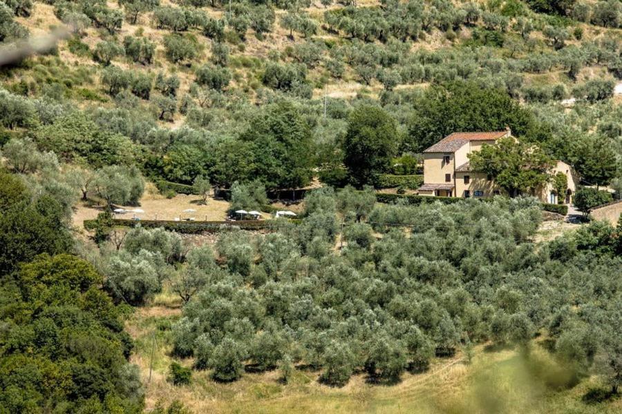 Agriturismo Il Giardino Pontassieve Luaran gambar